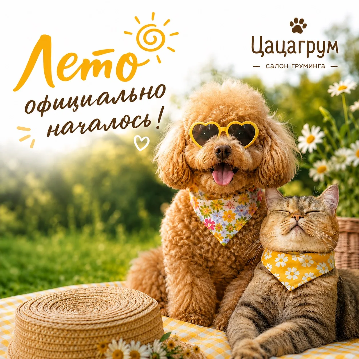 ☀️ Первый день лета!

А это значит - прогулки до заката, поездки на дачу, купание, новые приключения