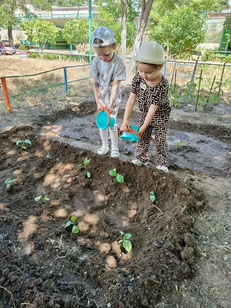 Сегодня наши ребята из группы #5 потрудились на славу! 🌱 Они с большим старанием высадили всю расса
