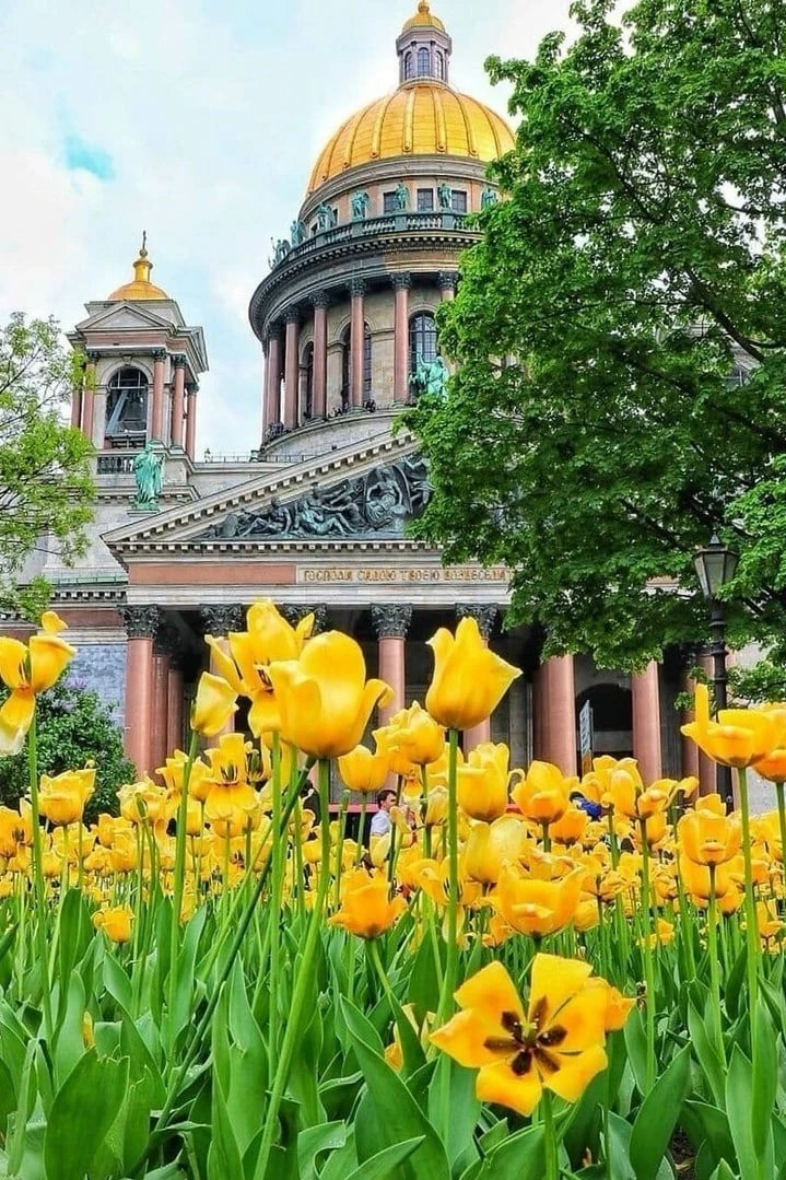 🌼 Погода в Санкт-Петербурге 12 июня 2026 года.
Облачно с прояснениями. Местами кратковременные дожд