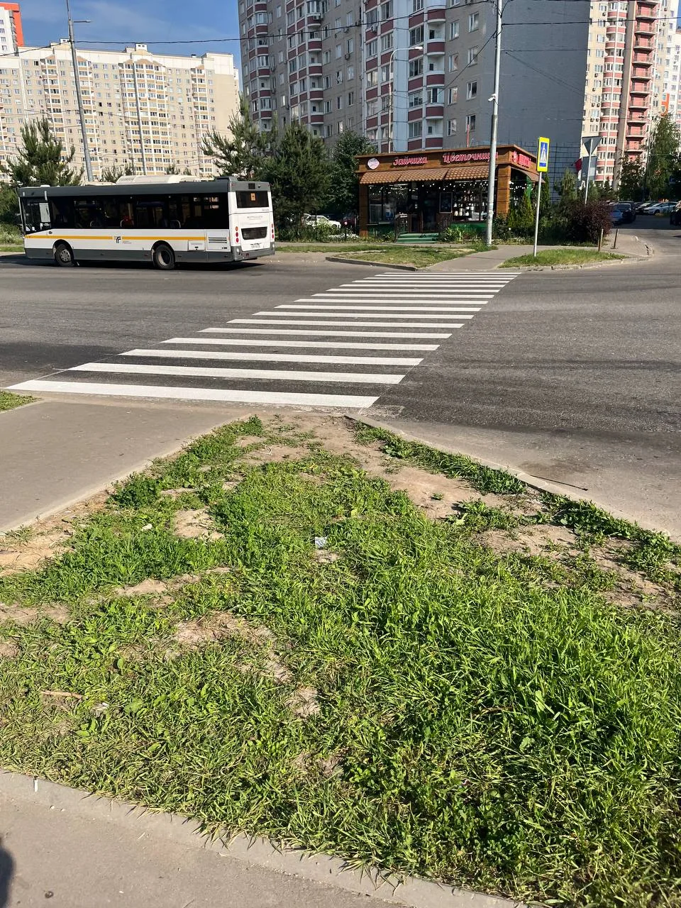 Что появляется на дороге летом, исчезает к осени, стоит как полноценная работа, но служит только 2 м