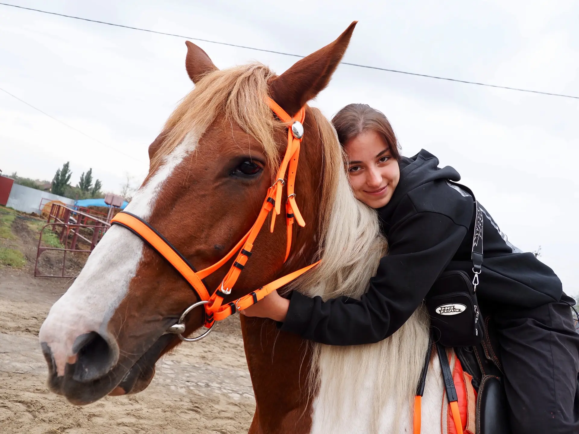 🚂 ПАРОВОЗНЫЙ ТУР + КОННАЯ ФЕРМА: путешествие для всей семьи! 🏇

Хотите прокатиться на электропоезд