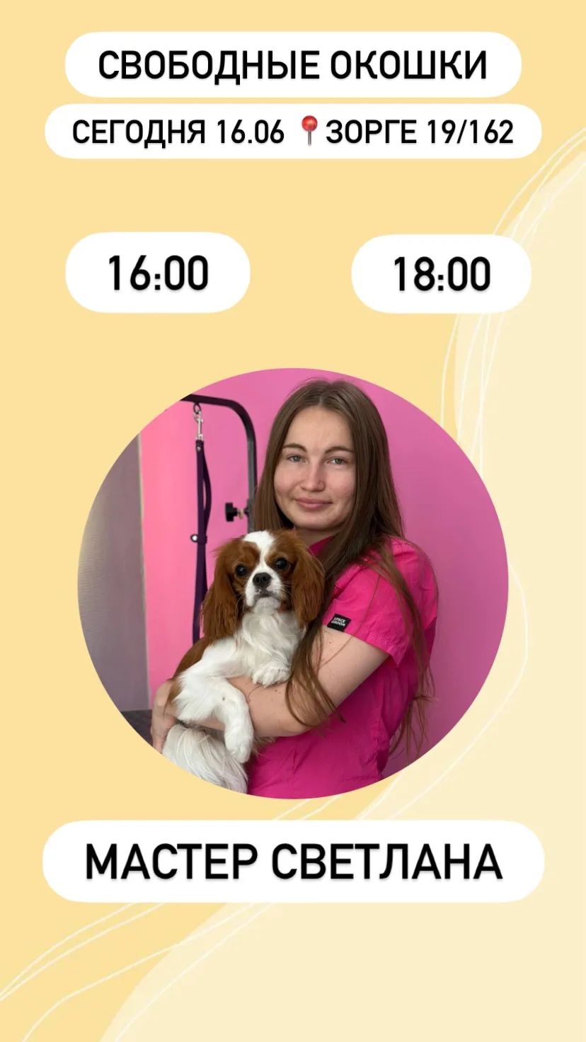Свободные окошки на сегодня ☀️

Онлайн запись 💖 https://dikidi.net/g416762