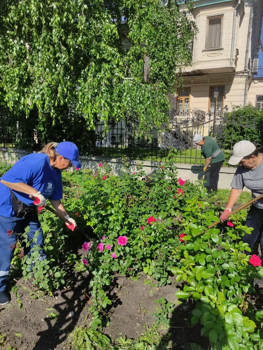 Озеленители вышли на борьбу с сорняками

Сегодня наши рабочие пропололи цветники на бульваре Новый В