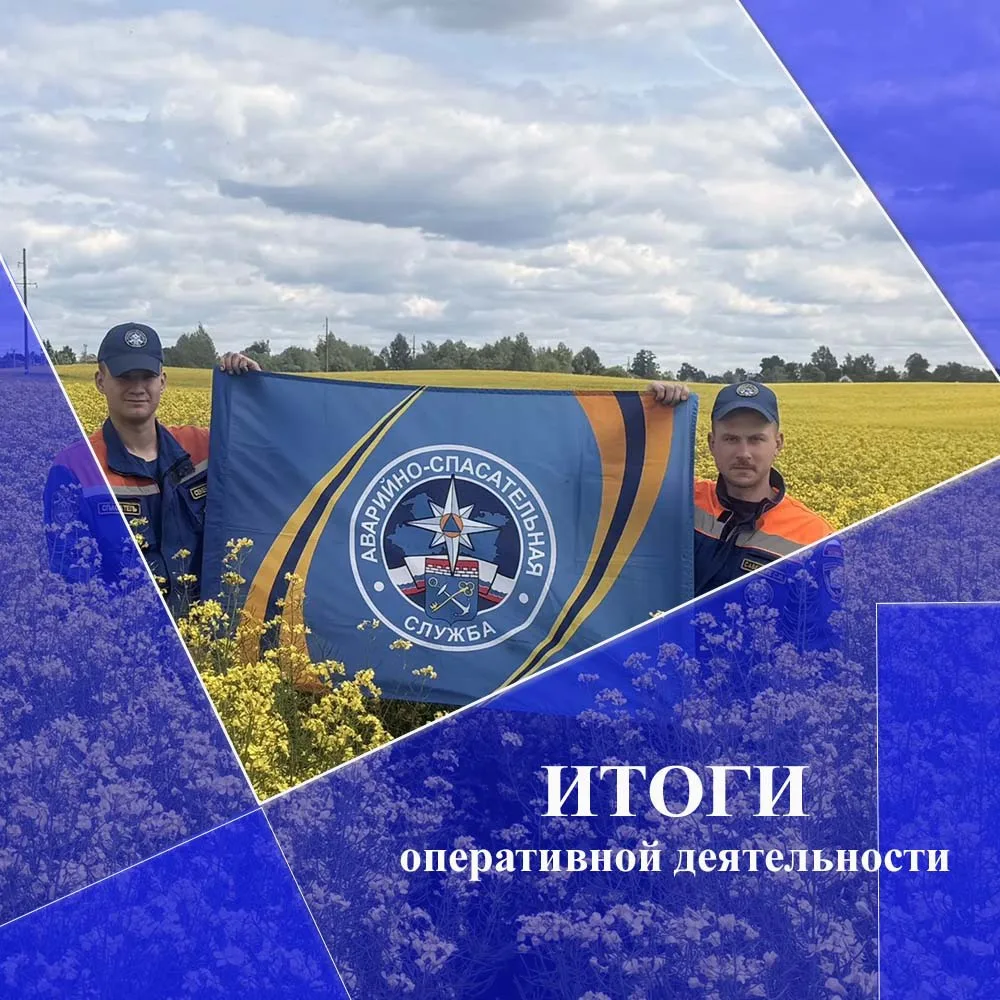 В период с 1 июня по 7 июня 2026 года поисково-спасательные подразделения Аварийно-спасательной служ