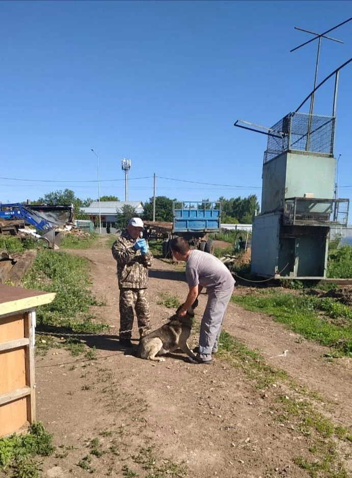 ❗️В  заботе о здоровье и благополучии наших любимых домашних животных, ветеринарная служба  района  