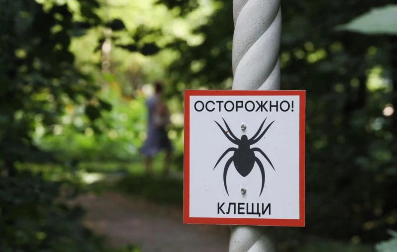 Как защититься от клещей:

С наступлением весеннего тепла начинается период активизации клещей — пер