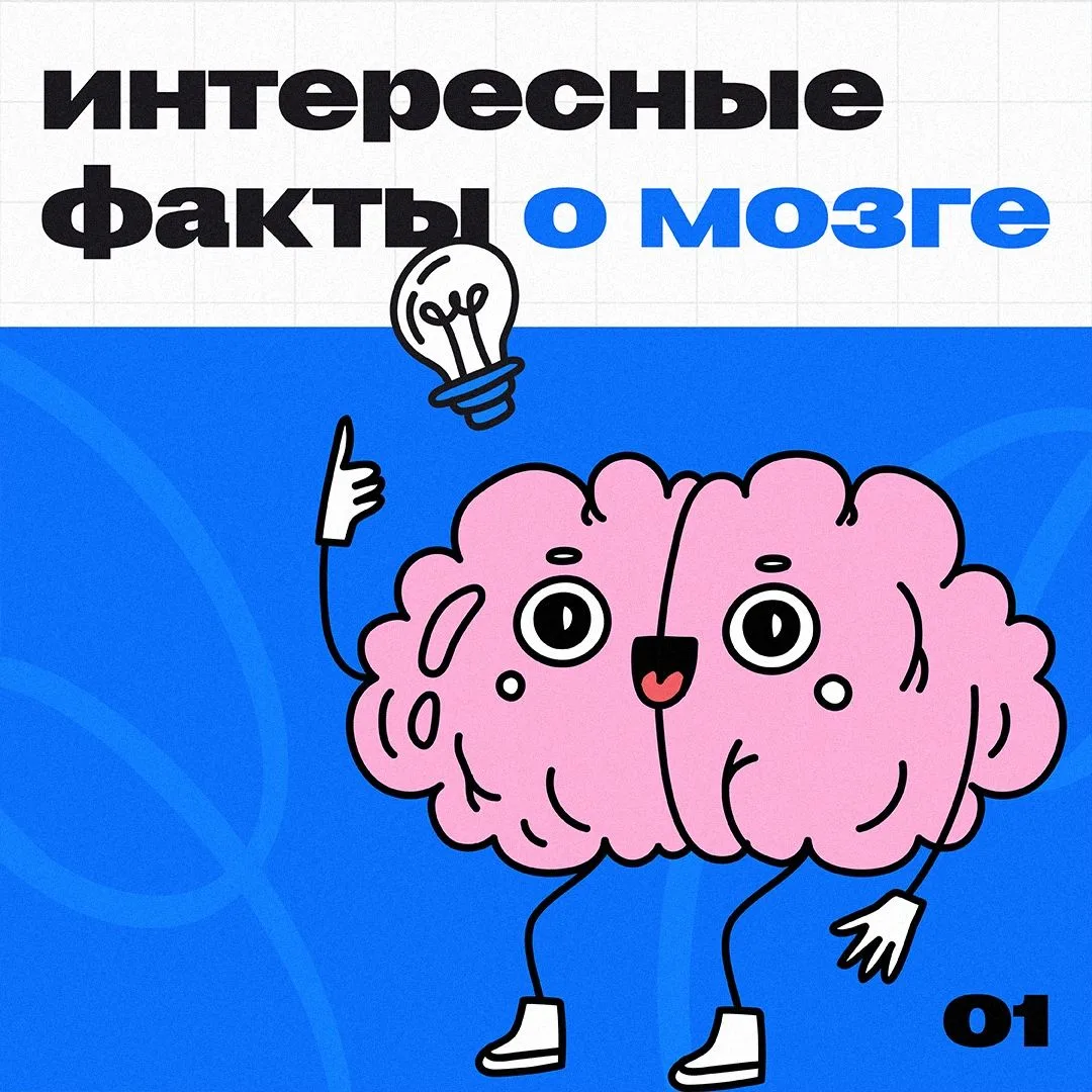 🧠 Сегодня Всемирный день мозга

Мозг — самый загадочный орган в нашем теле. Многие даже не подозрев