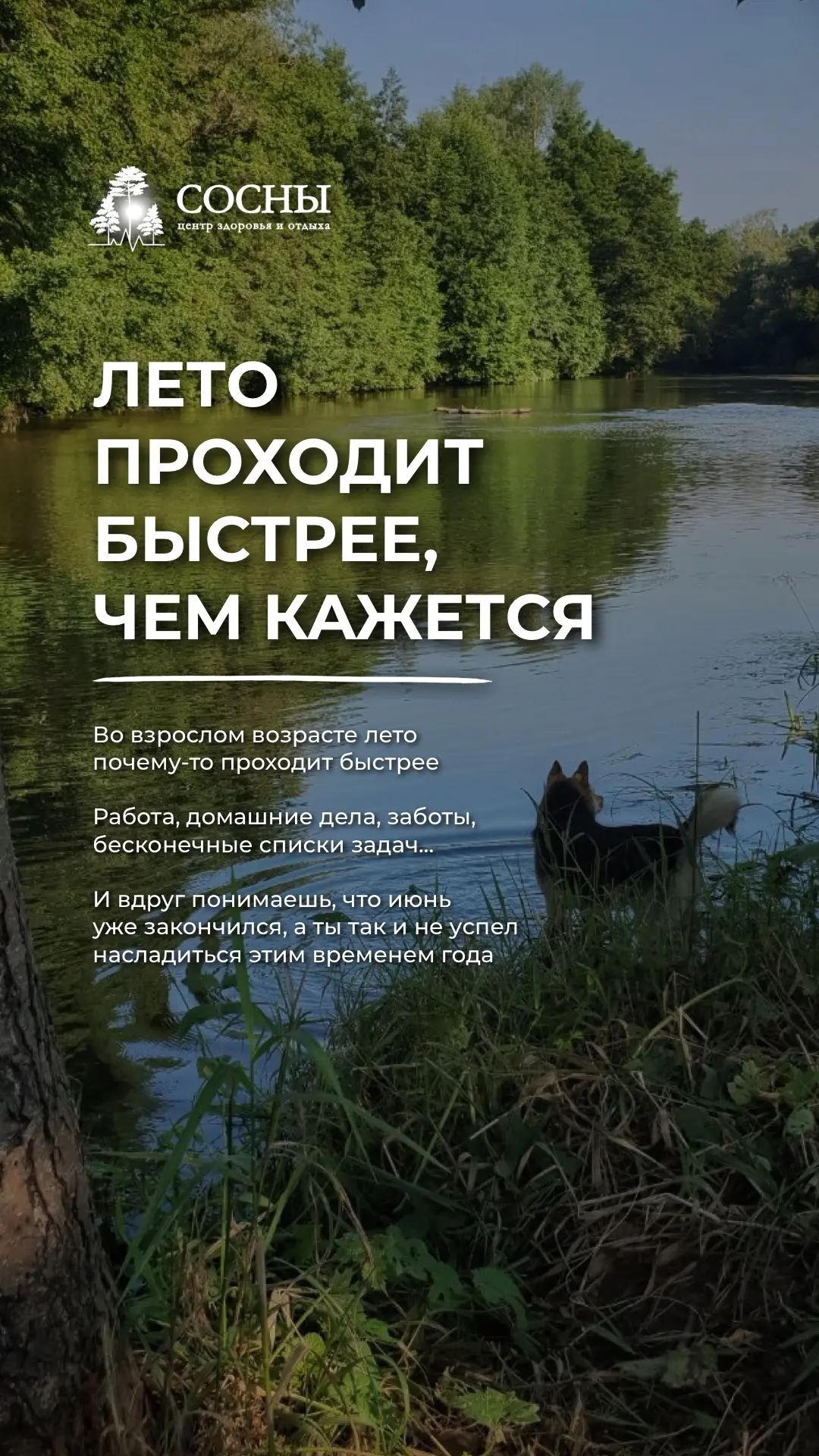 И самое главное — для яркого лета не нужно далеко ехать.

Всё самое лучшее уже есть рядом.

Ждём вас