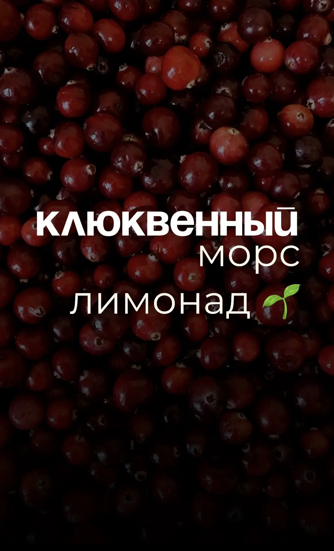 Клюквенный или другой ягодный морс, он же лимонад 🥤