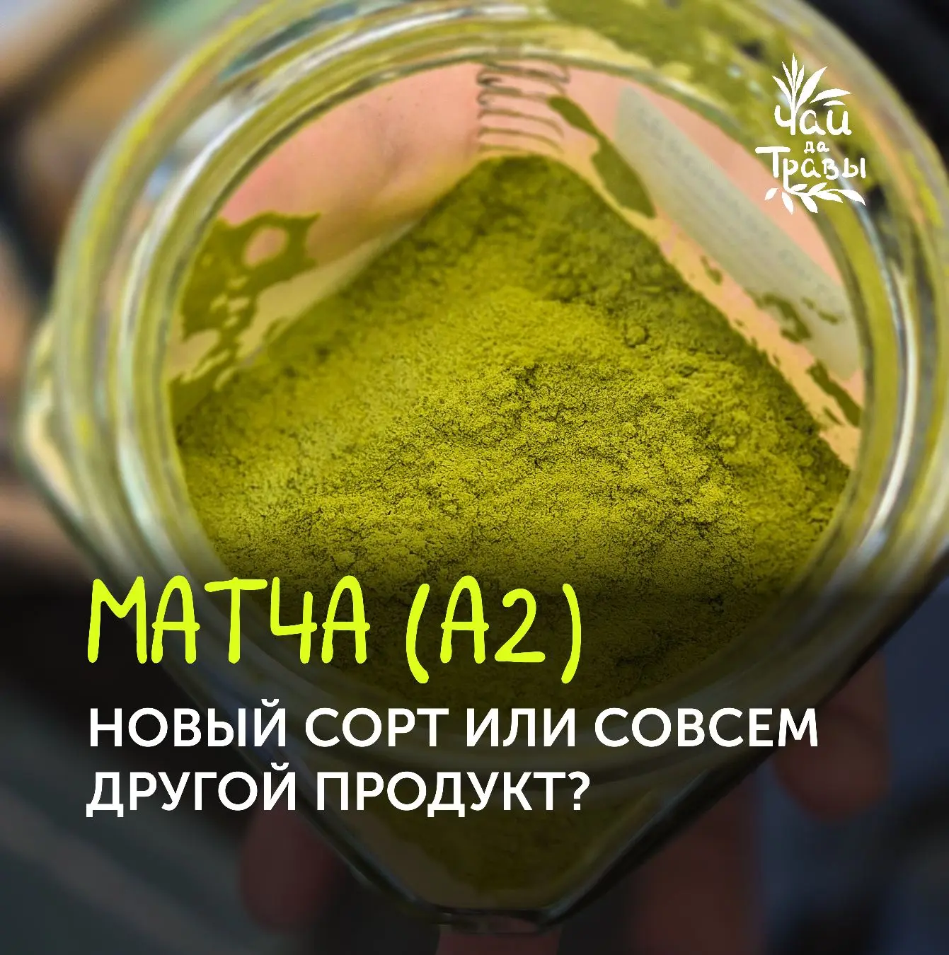 Коллеги, у нас новинка!🍵

Новая матча А2. А что это? Рассказали подробнее в картинках