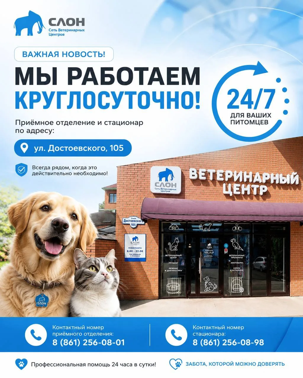 🐾 Теперь мы рядом 24/7! 🌙

Приёмное отделение и круглосуточный стационар филиала СВЦ «СЛОН» по адр