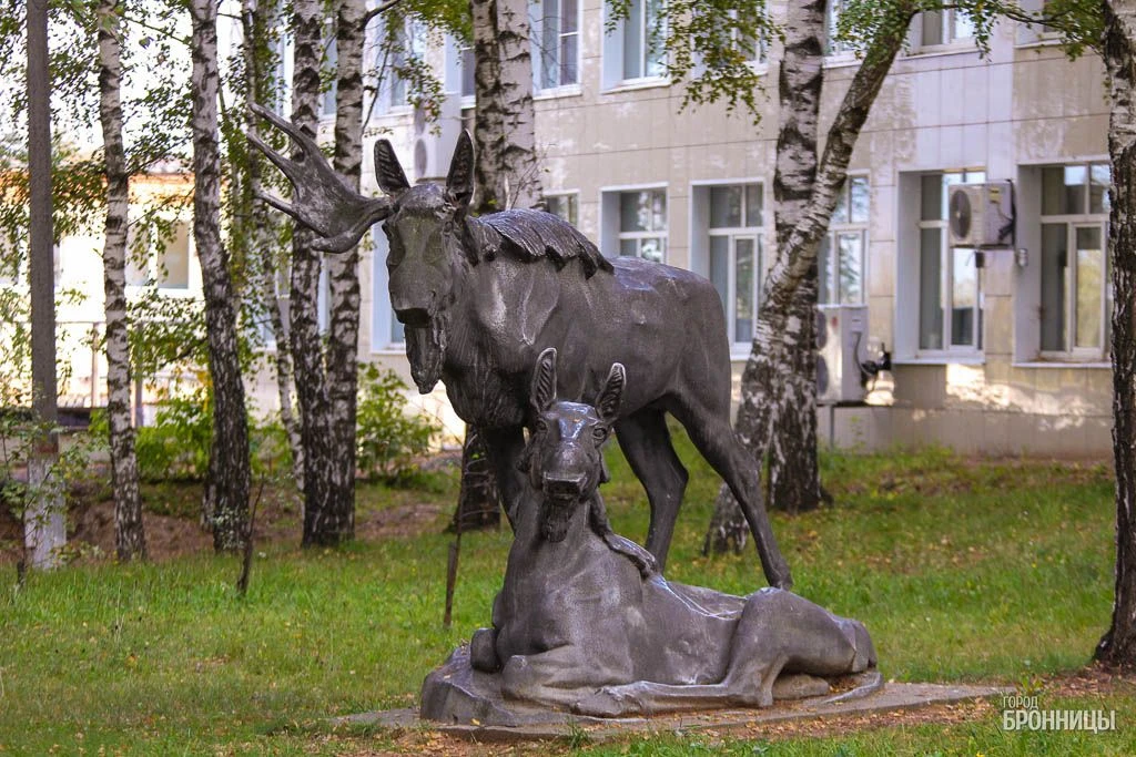 Про лосей, кто не знает: https://gorodbronnitsy.ru/guide/skulpturnaya-gruppa-losi