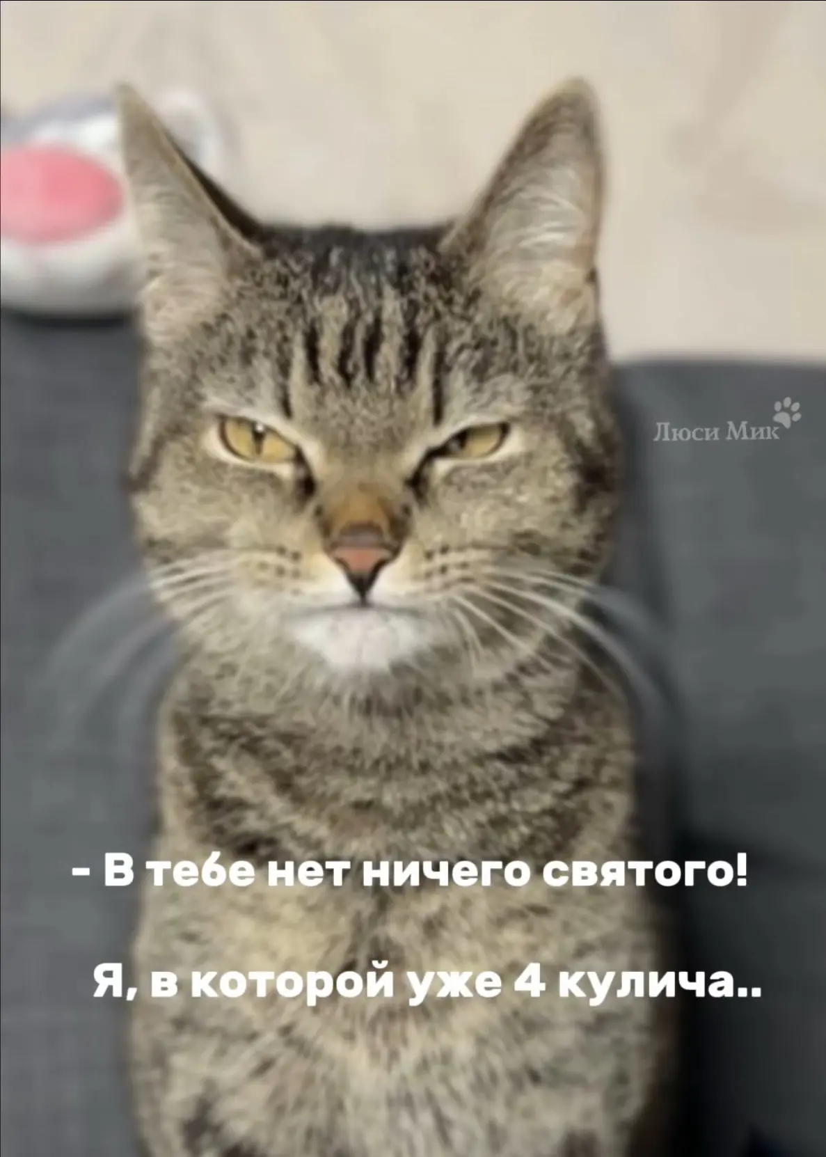Со Светлой Пасхой, друзья! 🪺