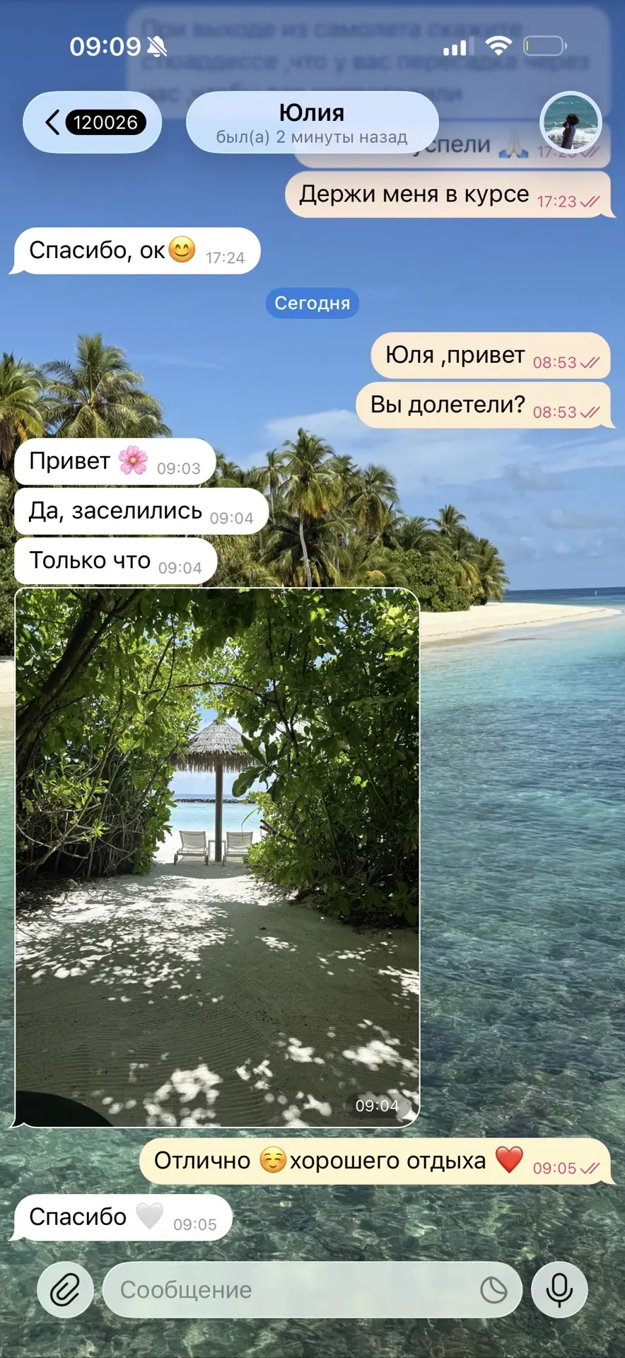 Мои туристы прилетели на прекрасные Мальдивы 🇲🇻💔