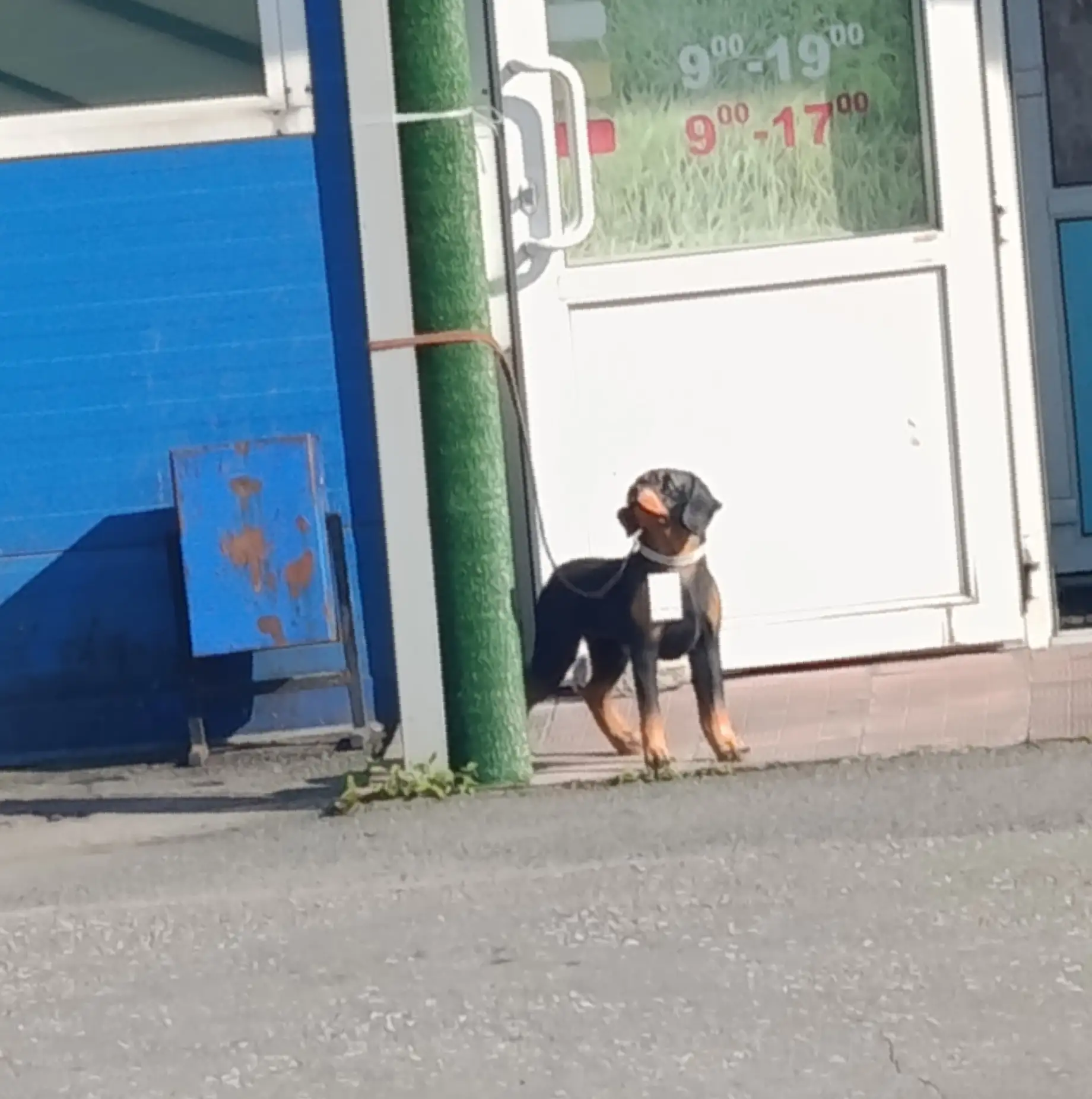 Доброго утречка! Всем отличного дня!