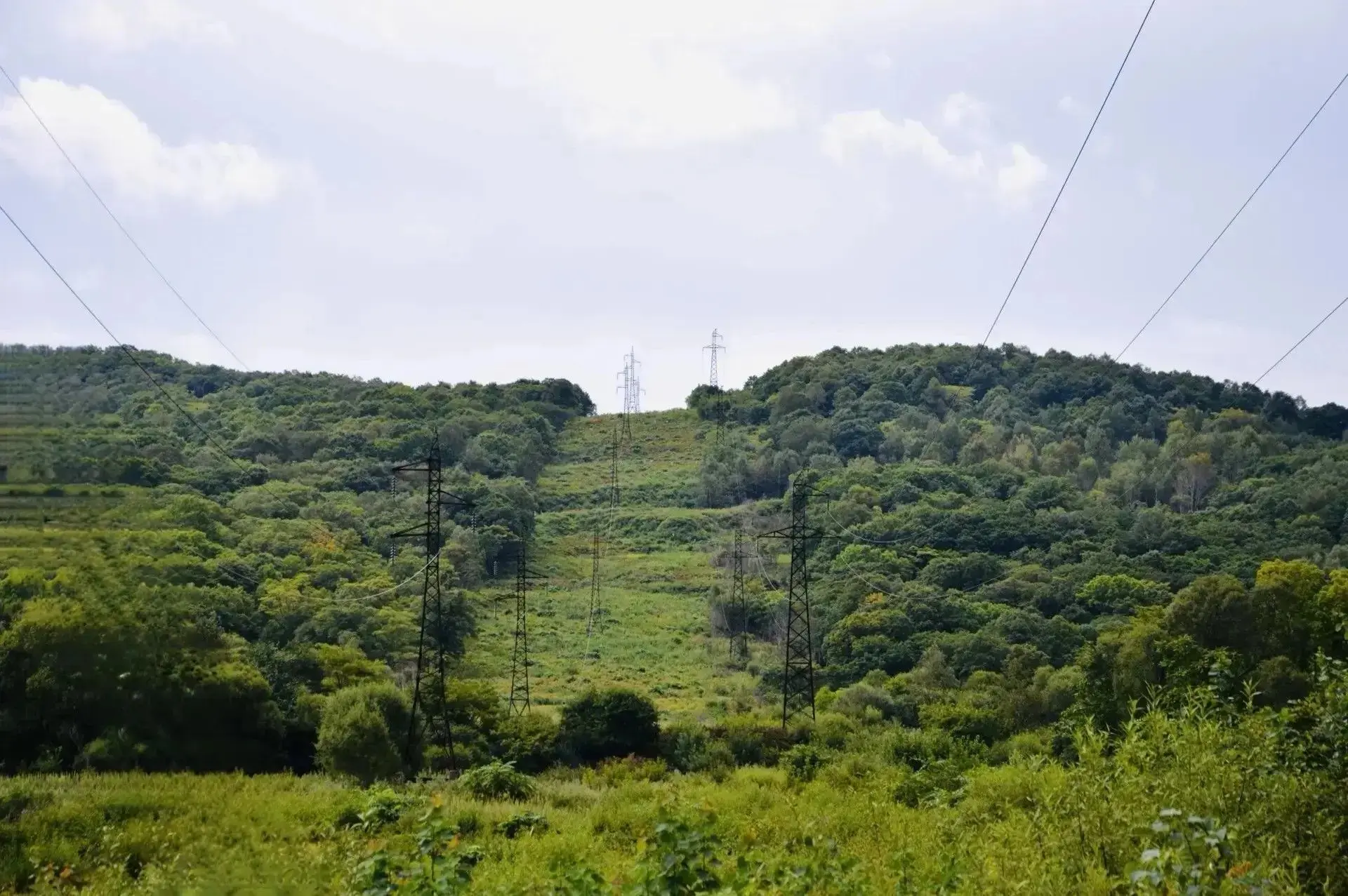 ⚡️ДРСК ВНЕДРЯЕТ ИННОВАЦИИ ДЛЯ ЧИСТКИ ПРОСЕК ЛЭП В ПРИМОРЬЕ 🌲⚡

Приморские электрические сети (филиа