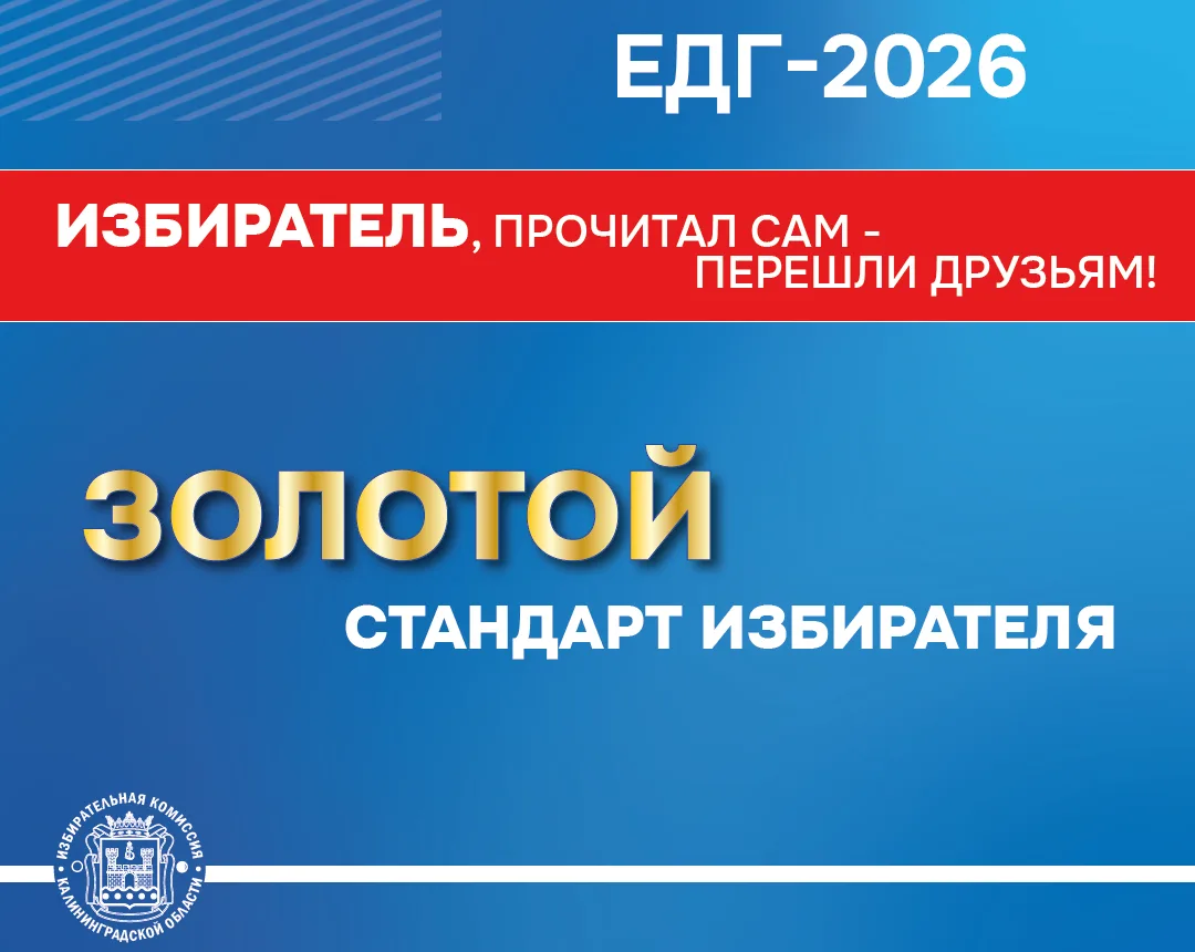 ✅❗️Избирателю на заметку
 Избирательные кампании еще не стартовали, однако основную полезную информа