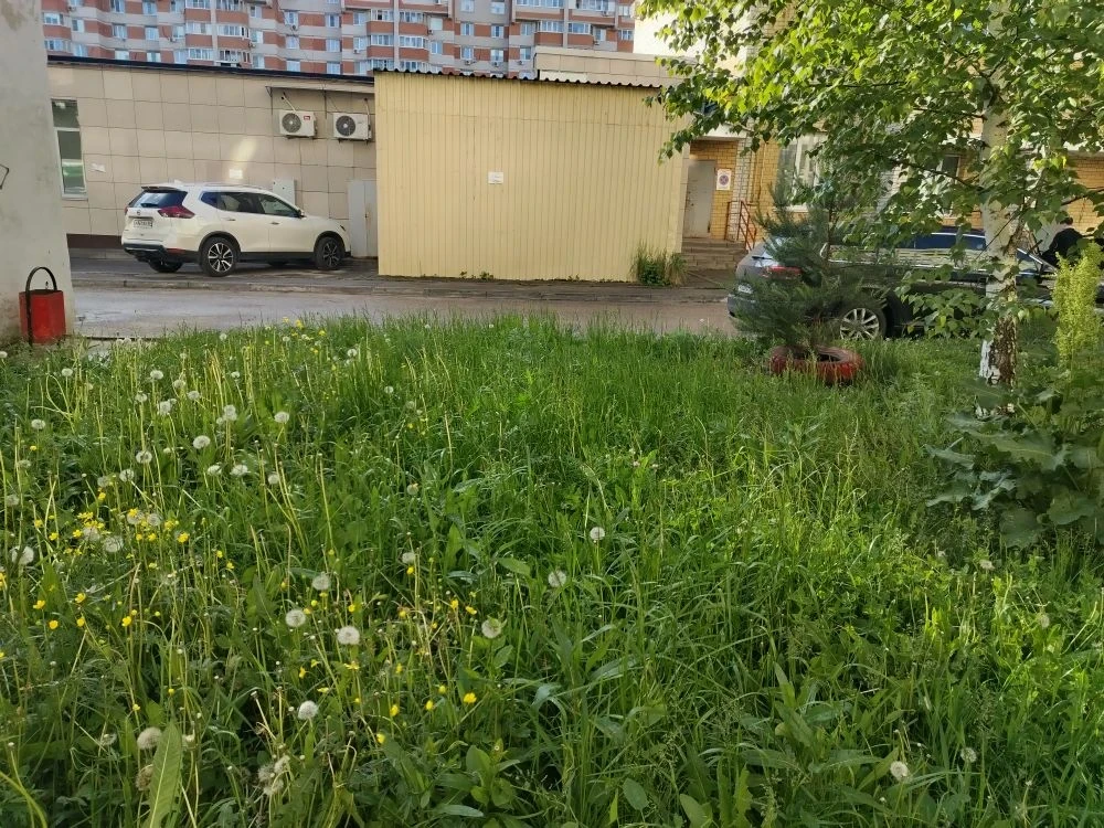 В соответствии с графиком покоса сорной растительности, продолжаются работы по окосу территории мног