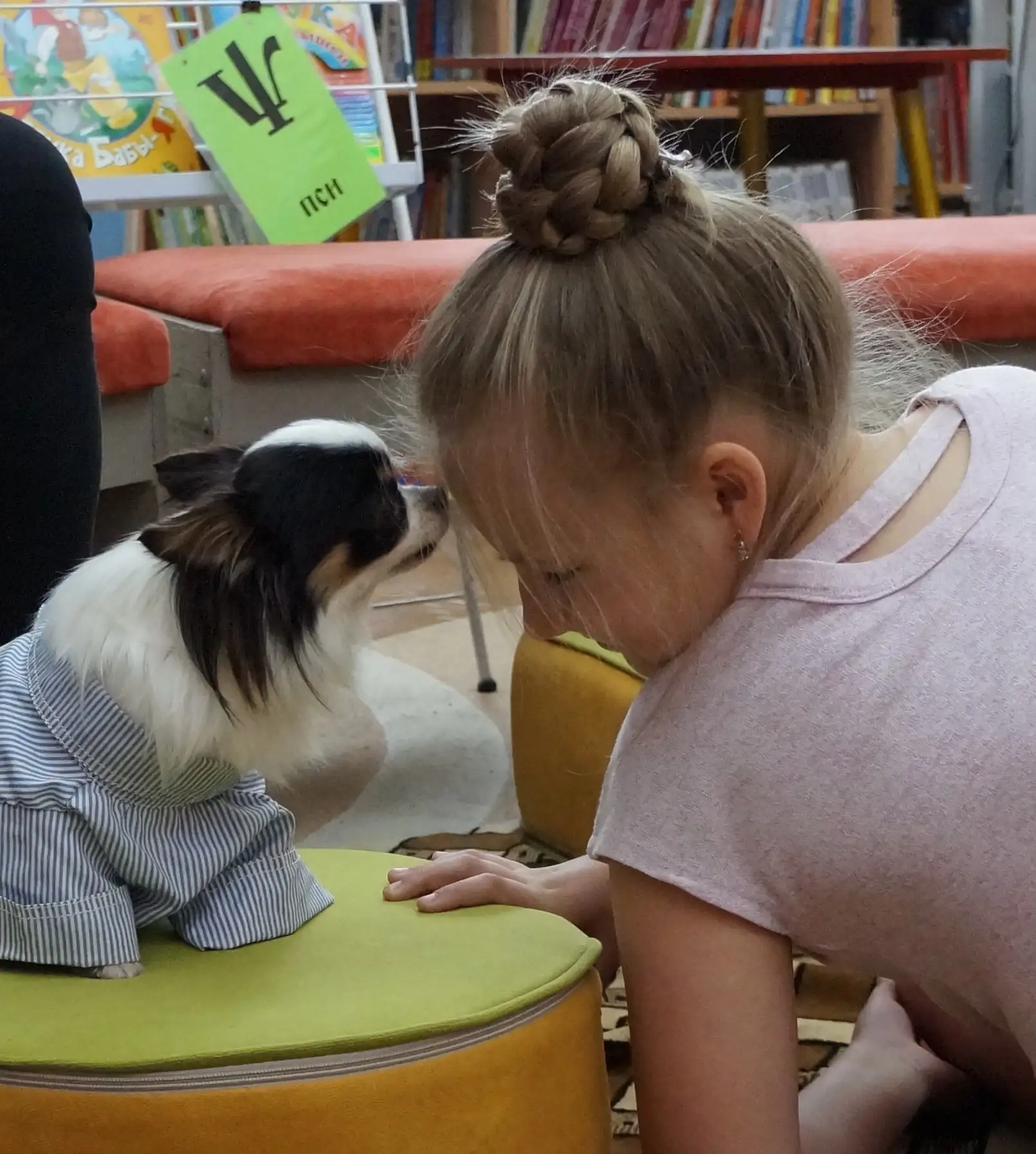 «Сказки для собаки» 🐕🐶📚 Яркие моменты занятий в мае✨
 
Дорогие друзья! Добрые, терпеливые, отзывч