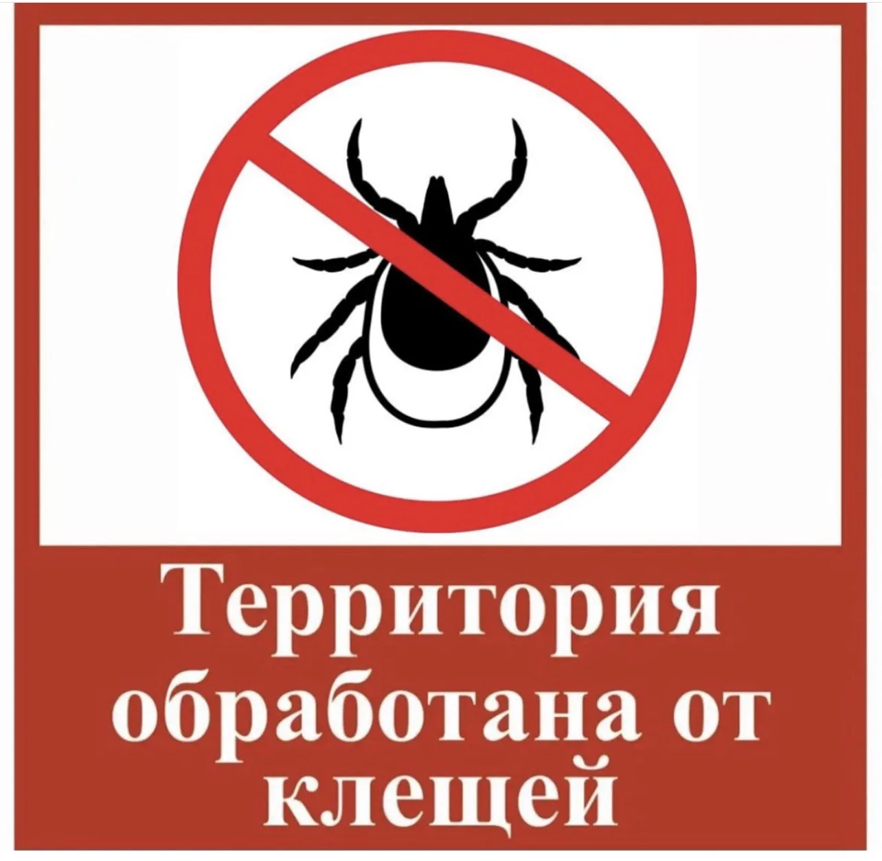 ⚡️ОБРАБОТАНО ОТ КЛЕЩЕЙ!⚡️
В выходные прошла акарицидная обработка территории обоих корпусов специали