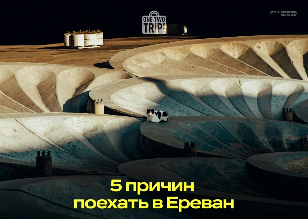 🍷 Авторская кухня, уличное искусство и не только
 
Слушайте, шашлыки и долма — это прекрасно, но да