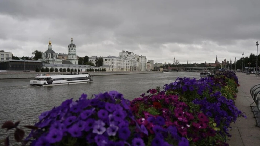 🌧 Доброе утро, соседи!

Жёлтый уровень погодной опасности объявлен в Москве и области до вечера 17 