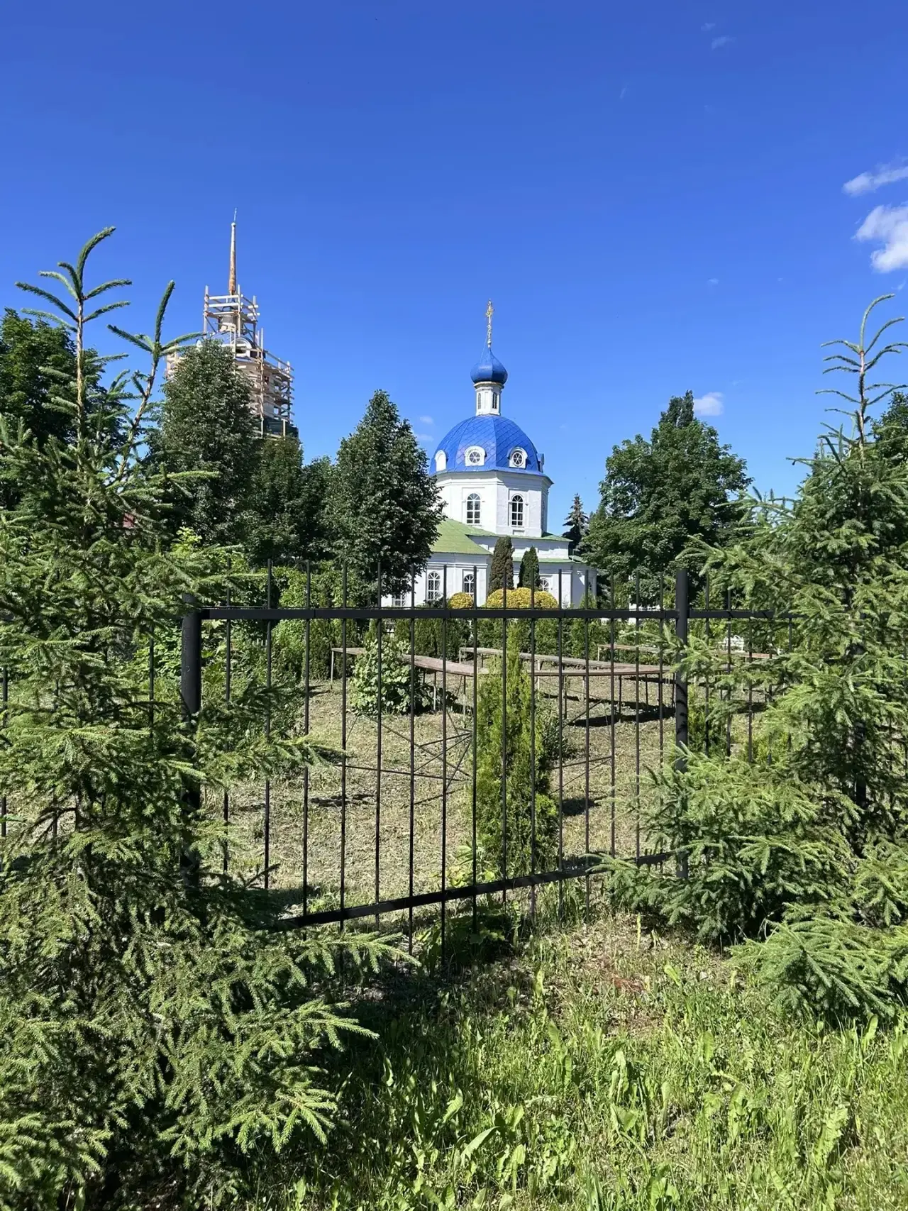 🌸Лето- это маленькая жизнь…