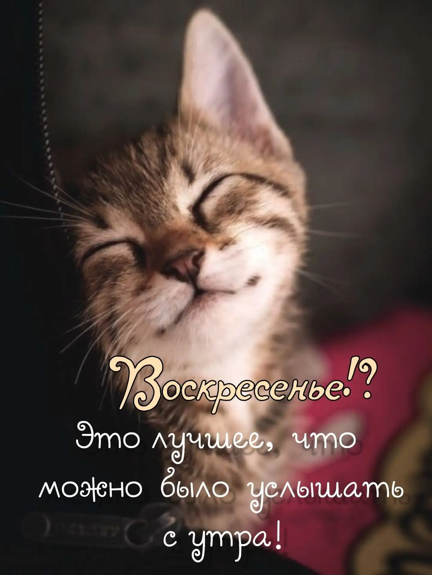 🇷🇺  Мы в МАХ : https://max.ru/dusha_angela_new