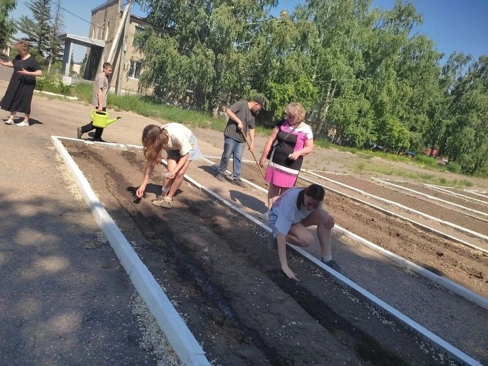 Студенты колледжа под руководством социального педагога Коркиной М.Г.  сформировали трудовой отряд. 