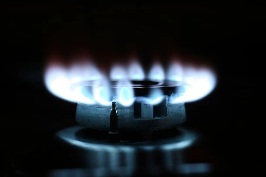 В Подмосковье газифицировали 1000-й населенный пункт

В рамках губернаторской программы в Подмосковь