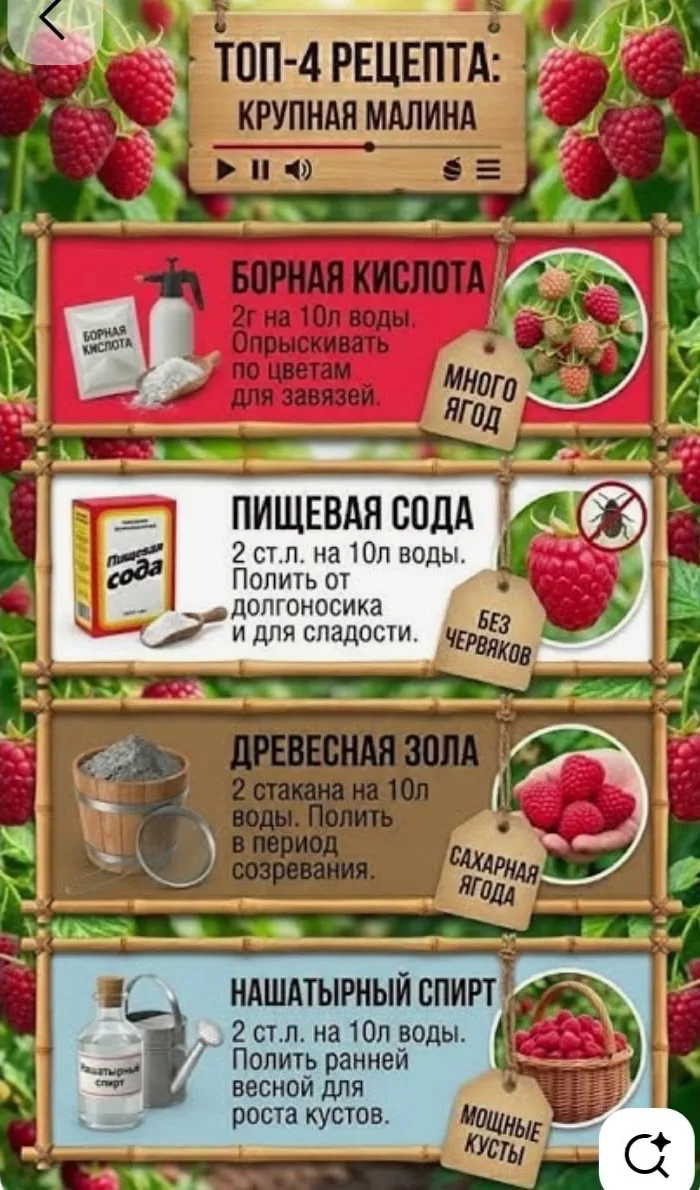 4 рецепта крупной малины!

🏡 уДачные советы