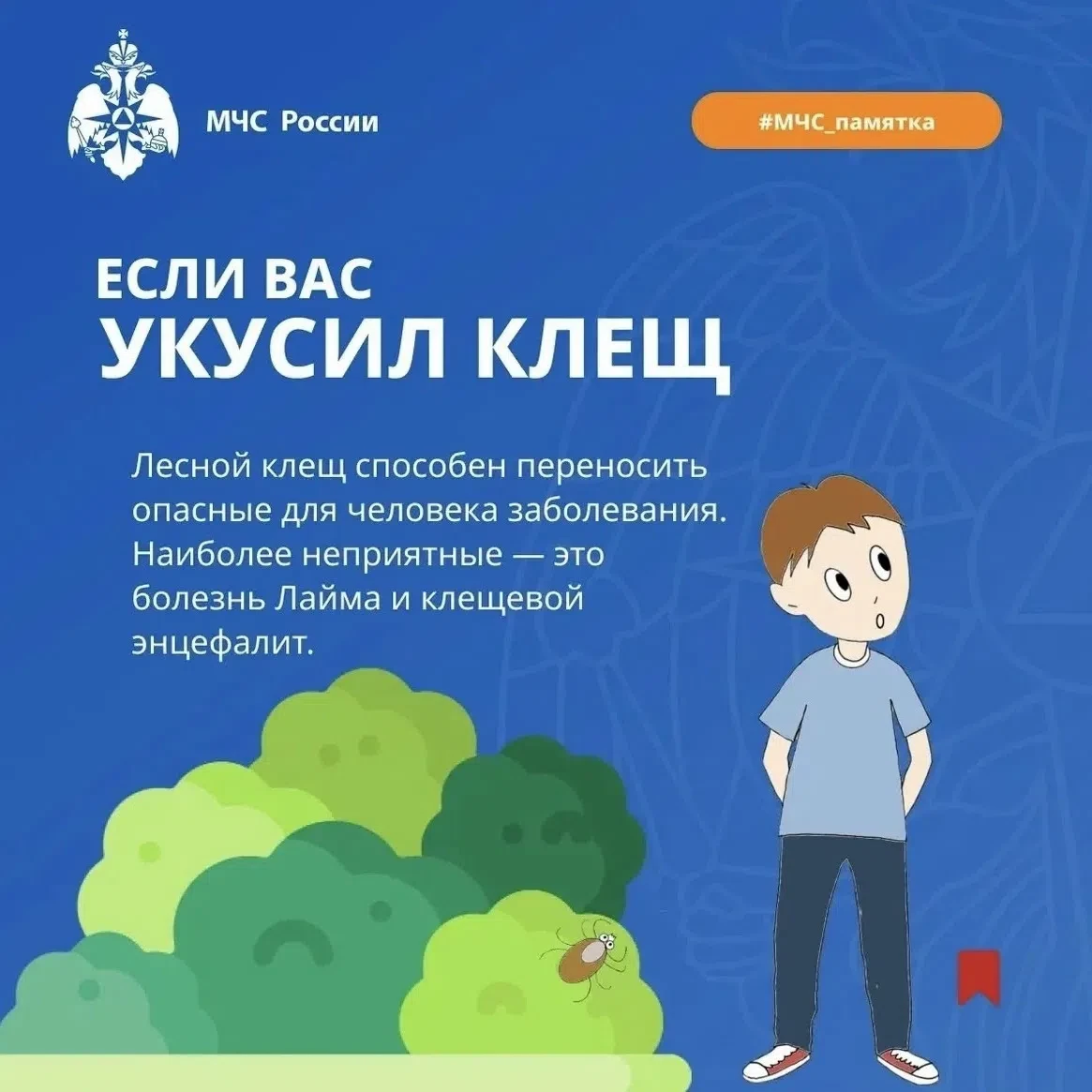 ⚠️ Осторожно, клещи! ⚠️

Друзья, лето — время прогулок, игр на свежем воздухе и… маленьких, но серьё