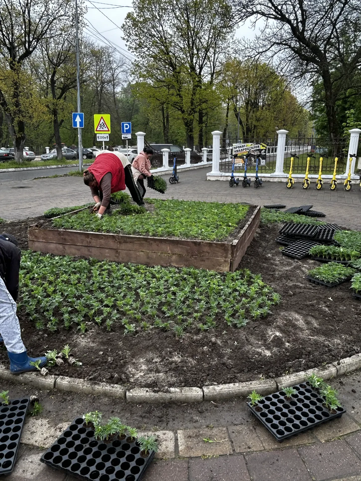 🌿 По улице Шогенцукова, на въезде в парк аттракционов, продолжаются работы по благоустройству город