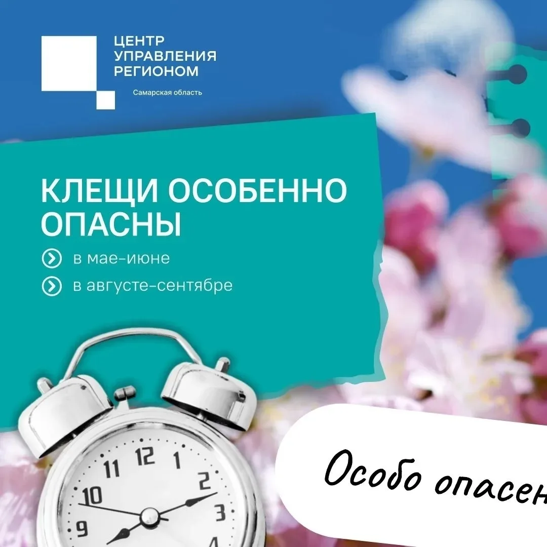 Новосемейкино | Петра Дубрава | Самара🏡

🌳 Лето - не только время отпусков и дачных забот, но пери