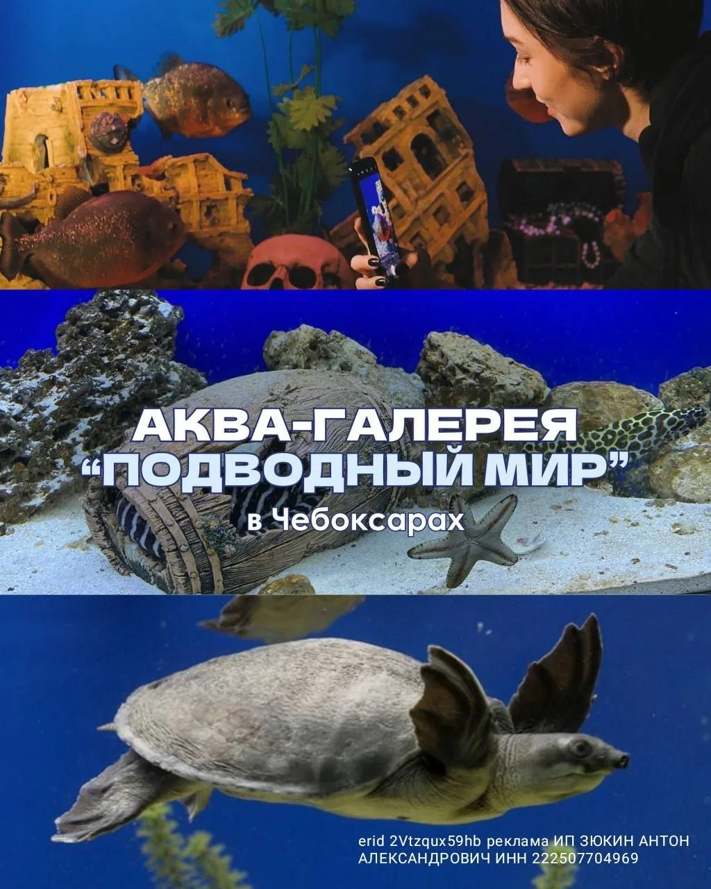 Розыгрыш! Определим 5 счастливчиков, которые получат по 2 билета в Аква-галерею "Подводный мир"! 

�