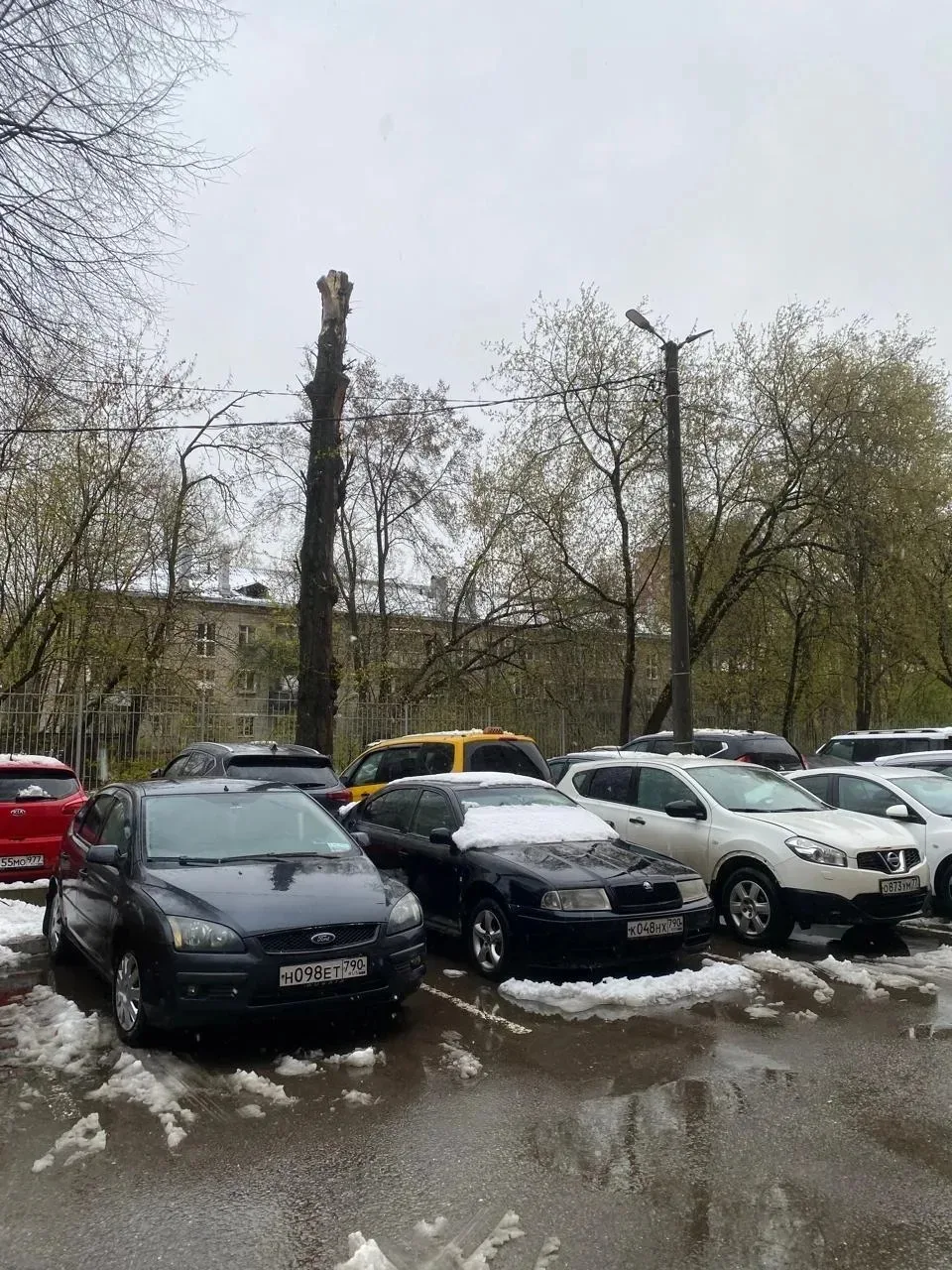 Сегодняшний утренний порывный ветер надломил ветки тополя, опасно повисшие над парковкой, вблизи кон