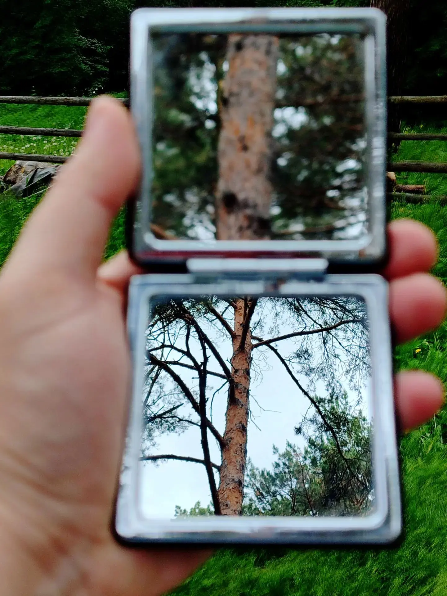 🌲🌊И долгожданная Томская писаница! #гимн41кем_ТомскаяПисаница
Подпирающие небо сосны, красавица-То