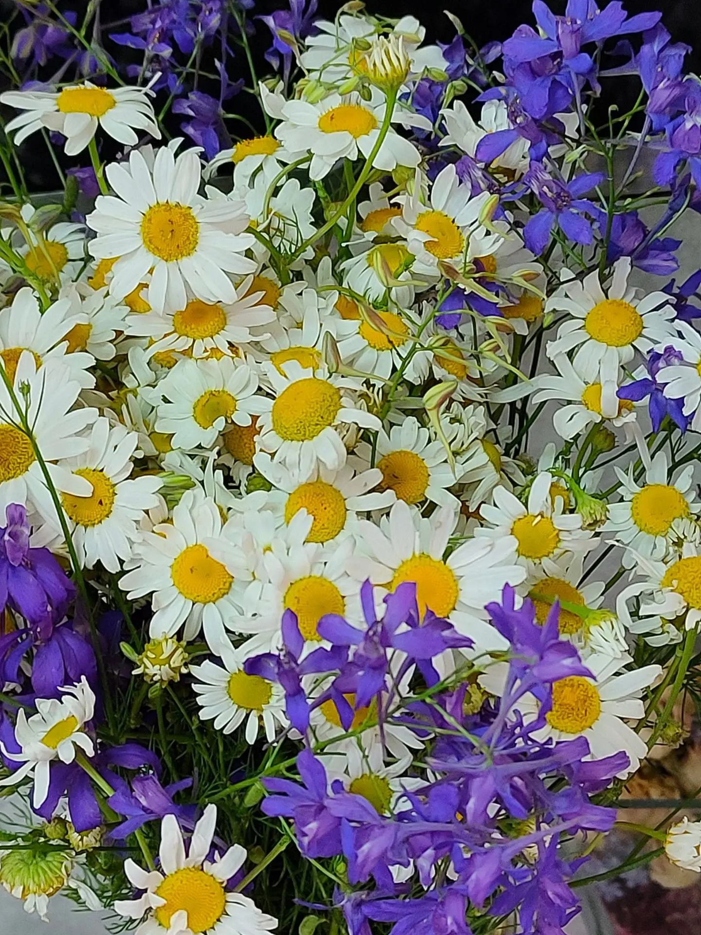 Летняя красота🌺💐🍀
