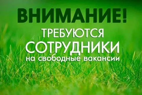 На постоянную работу в территориальный орган администрации по Марьяновской группе сел требуется:

- 
