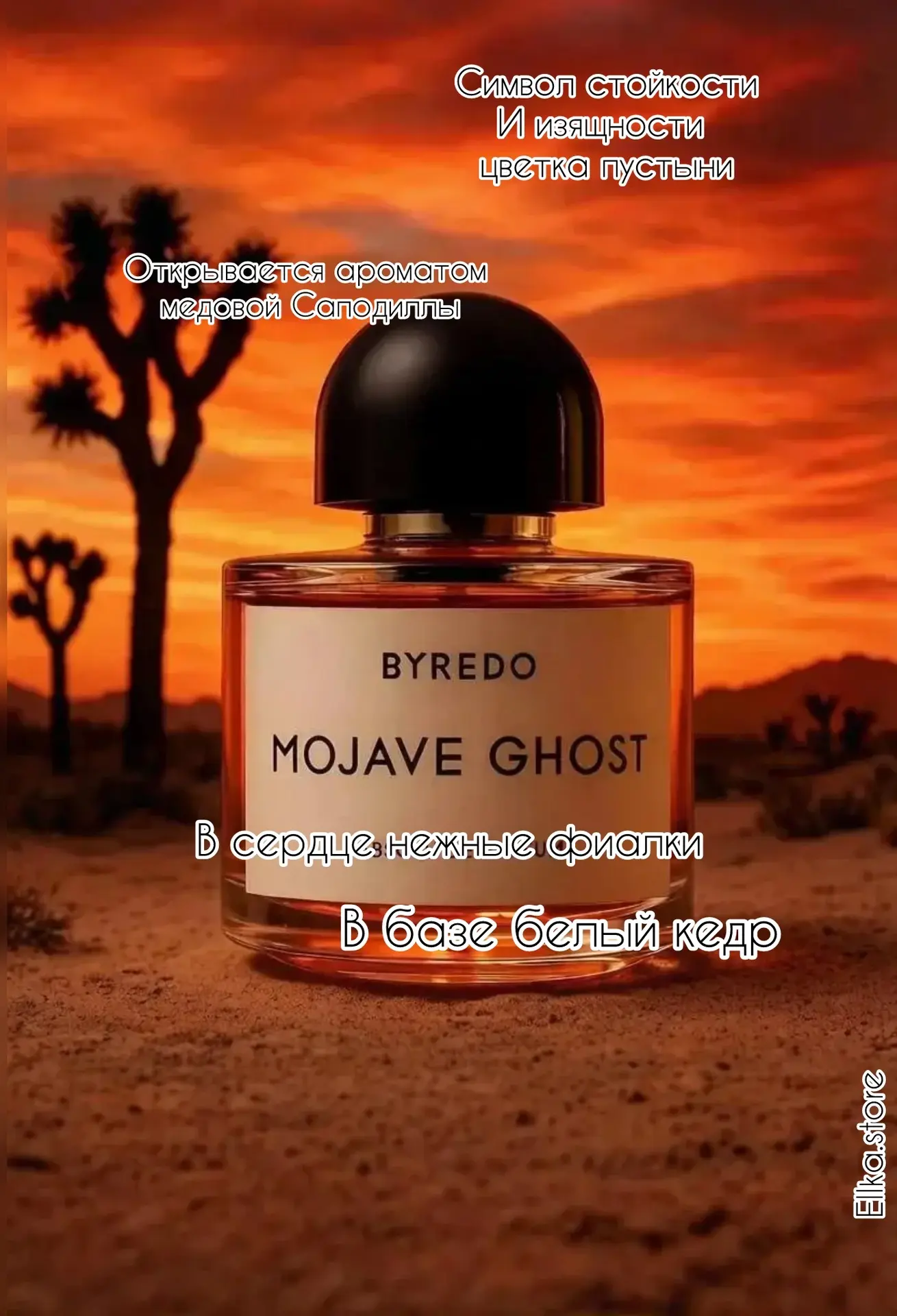 Приветствую, Друзья👋🏻

Аромат Byredo Mojave Ghost 👻 
Его очень сложно описать словами, его нужно 