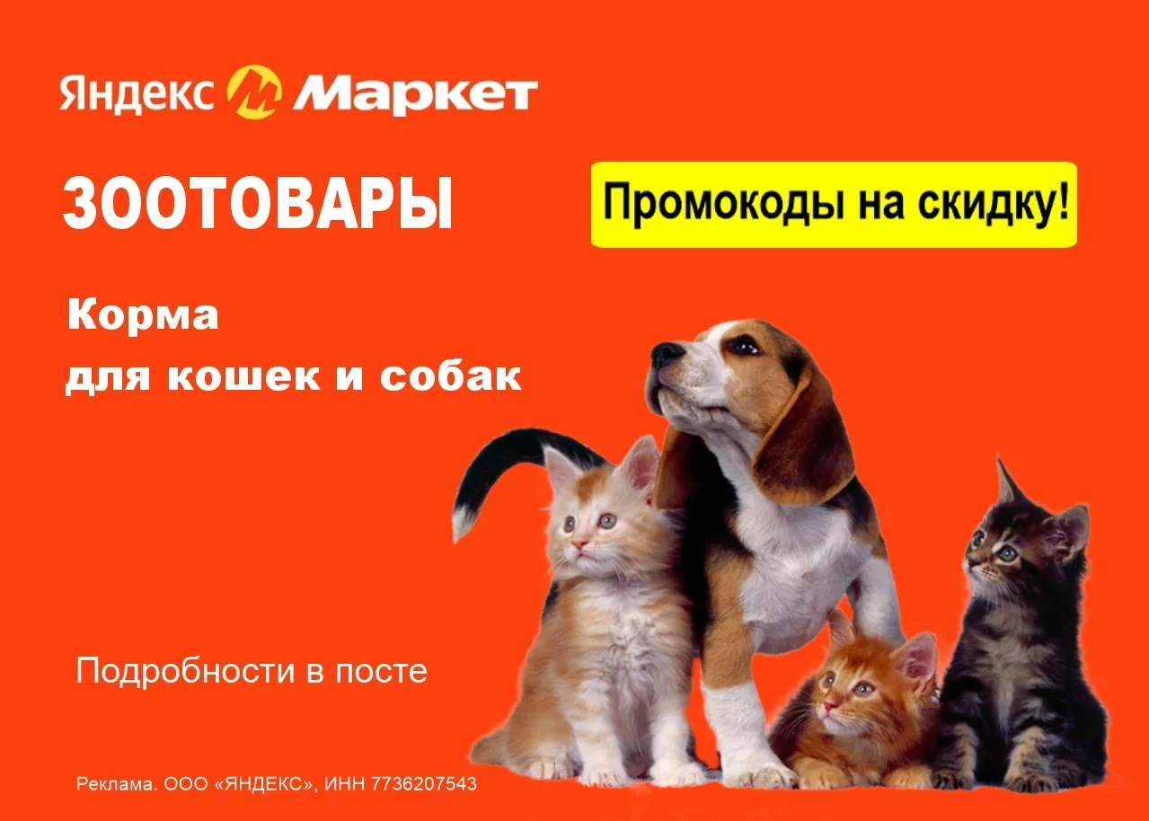 Промокоды Яндекс Маркет на корма для кошек и собак.

✅ Сухие и влажные корма для кошек и собак с доп