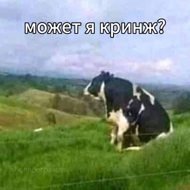 Я запрещаю клиентам кринжевать

(вам сейчас тоже запрещу 😈)

Ничего против сленга я не имею — наша 