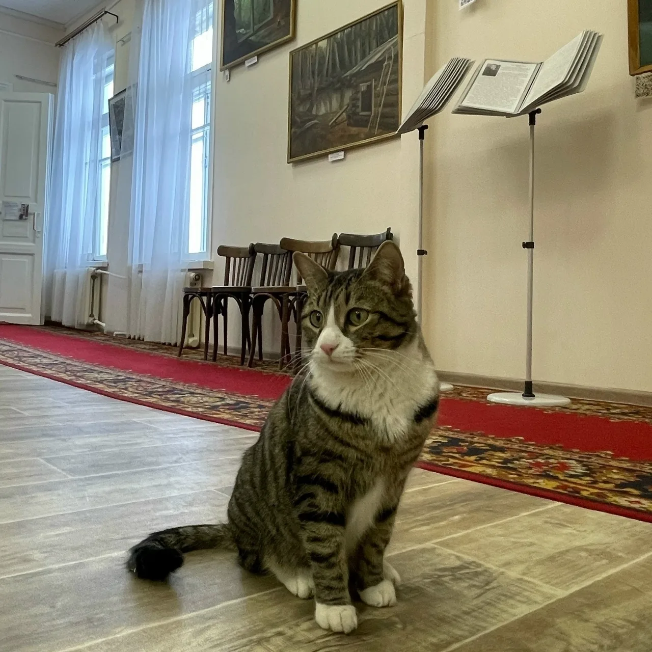 🗓 1 марта отмечается День кошек! 
Коты - наши милые и любознательные спутники. А в случае Музея - е