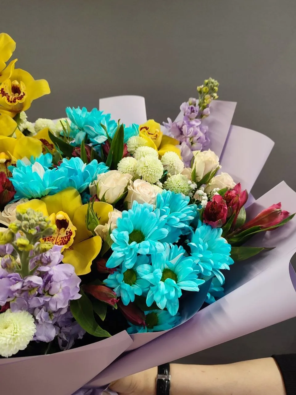 8600₽🌸 [контакт скрыт]