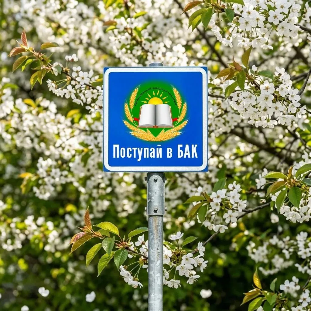 🔮 Абитуриент! Если ты ищешь знак, чтобы определиться, какой колледж выбрать… то вот он! 😄🎓

✨ Не 