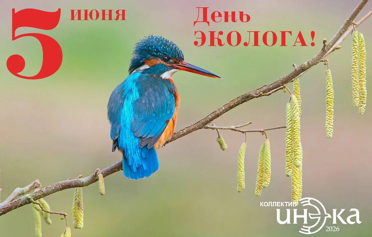 Дорогие коллеги, друзья, партнеры, с днем эколога!
Сегодня мы отмечаем наш общий профессиональный пр