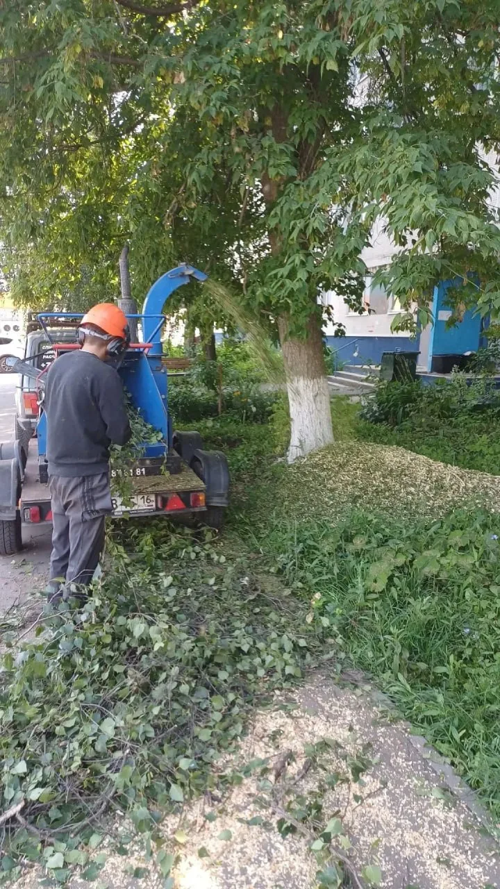 🌳 В 17-м комплексе Челнов спилили пять опасных деревьев

У дома 17/16 по заявке жителей специалисты
