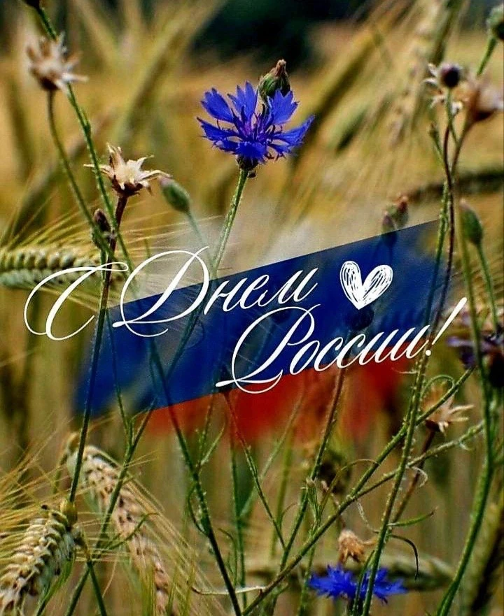 Спешим поздравить Вас с Днём России! 🎉 
Пусть будет крепким ваше здоровье, над головой — мирное неб