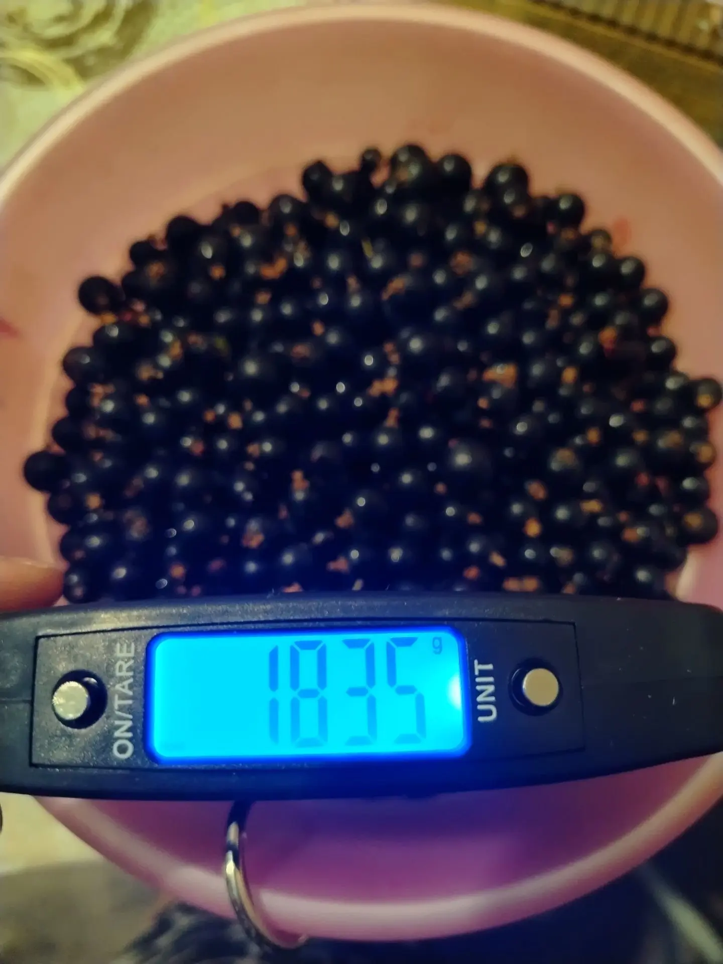 Продам чёрную смородину. За всё 850 руб.  г. Новотроицк. Тел 89228776124.