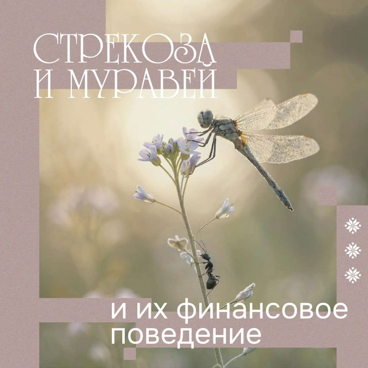 💳 Брать от жизни все или держать бюджет в муравьиных ежовых рукавицах?

В вашем окружении наверняка